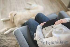 泰国试管技术升级，成功率创新高