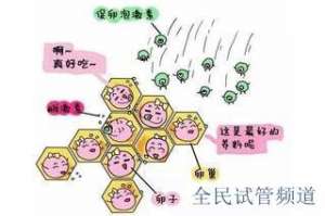 2025助孕中心全收录，国内机构一网打尽