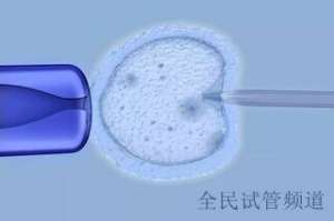泰国试管费用知多少，成功率价格全解析