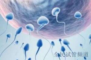 吉尔吉斯斯坦试管流程解析，注意事项全面指南