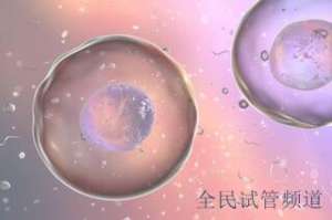 国外les试管合法吗,生育选择解析