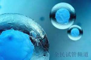 试管三代费用明细，价格表一览