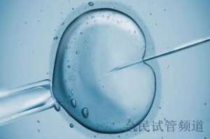 上海试管婴儿医院推荐，三代试管优质选择