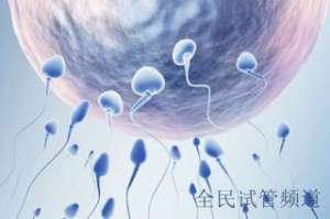 三代试管婴儿成功率揭秘，影响因素全面解析