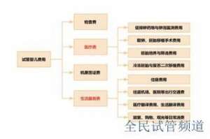 泰国试管医院排名前七强,优质选择助您好孕