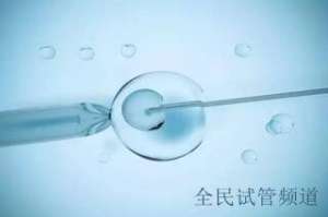泰国**排名精选，优质机构推荐  赴泰**哪家强，靠谱选择指南