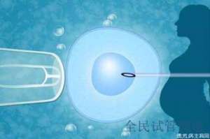 俄罗斯试管费用详解，单身女性生育预算参考
