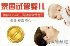 泰国试管费用解析，如何选方案控预算