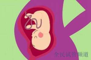 泰国试管机构排名出炉，成功率高，性价比首选