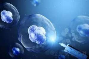 2025俄罗斯三代试管解析，经验分享助好孕
