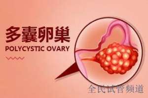 泰国**排名前十，国内正规机构精选