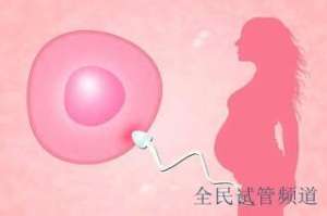 泰国试管三代费用解析，助你选最佳方案
