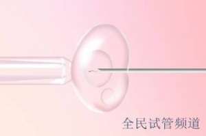 2025泰国试管医院排名，知名机构速览