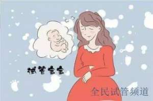 上海试管婴儿全流程解析，详细步骤及服务指南
