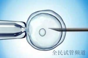 泰国试管费用指南,助你圆梦预算无忧