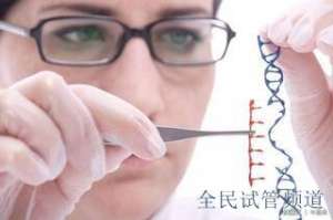 上海地下助孕机构揭秘,2025最新暗访调查