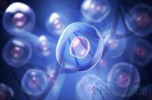 2025鄂州三代试管医院排名,最新榜单出炉