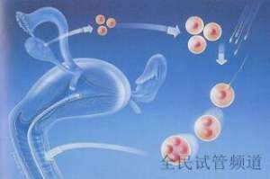 2025泰国试管费用透明,生育之路更顺畅