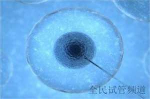泰国试管费用详解, 三**明明白白