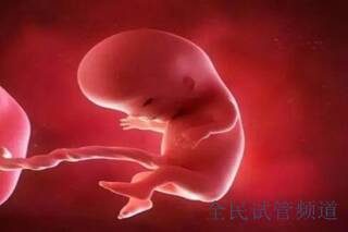不孕不育要如何检查？千万别漏查