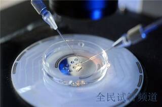 精子活力低是做试管婴儿还是人工授精?