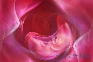 精子质量下降,试管婴儿能帮忙吗？