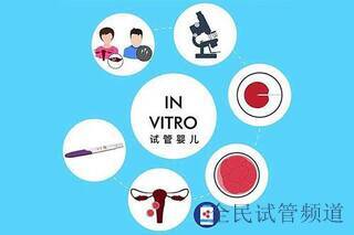 检查显示无精子还能做试管婴儿吗?