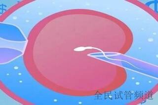 弱精症要检查什么？