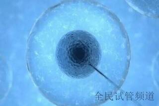 精子质量下降该如何办？