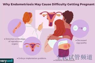 精子质量差做试管婴儿要准备什么？