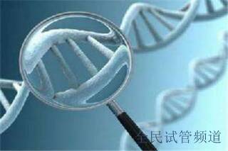 卵子的质量达标是怎样的？