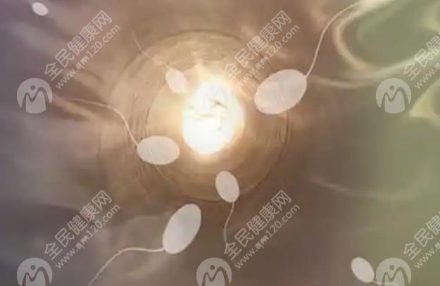 卵泡取出后第一次月经会不会排卵？