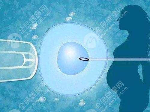 染色体异常的危害有哪些？染色体异常怎么备孕？