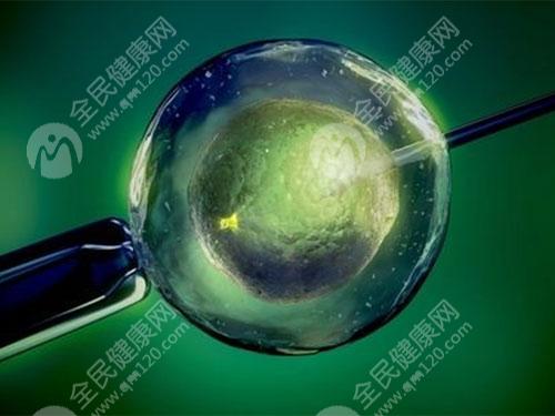 降调之后卵泡太小的原因有哪些？