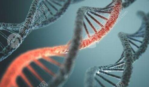 第一次失败第二次试管移植需要注意什么？