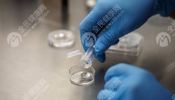 在贵州做人工授精要多少钱？有哪些注意事项？