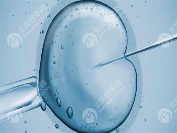 2023上海仁济医院试管婴儿成功率？