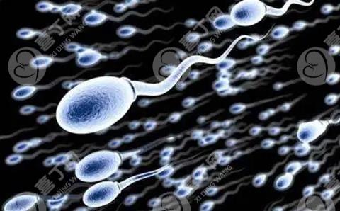 男性备孕精子成活率要达到多少？