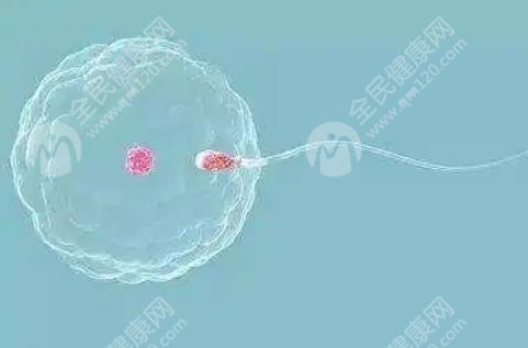 2023新乡医学院第三附属医院试管婴儿费用需要多少钱？