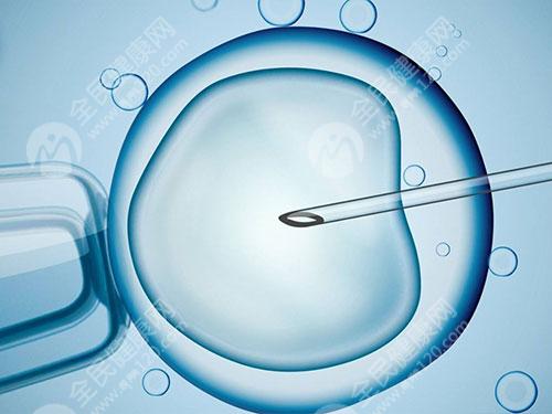 29岁卵巢早衰绝经试管成功率高吗？