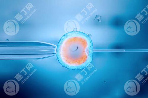 子宫内膜薄的女性怀孕后，这些办法能保护胎儿的安全