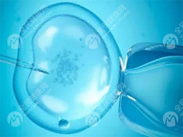 北京三院三代试管婴儿成功率怎么样？