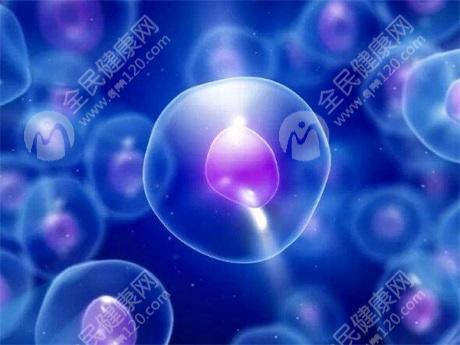 2023上海东方医院IVF生子费用8万够吗?