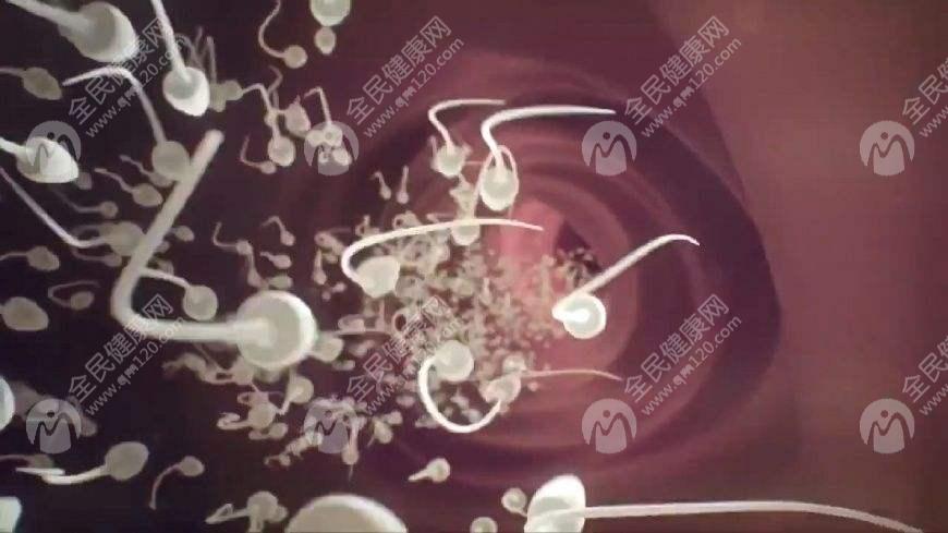 佛山试管婴儿医院排名较好是哪家？