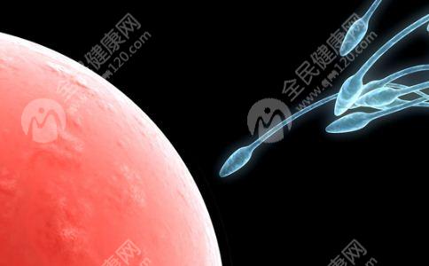 卵泡期一定会怀孕吗？主要看卵子是否已经排出