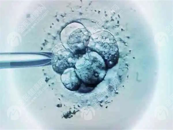 新乡哪些医院可以做第三代试管婴儿？