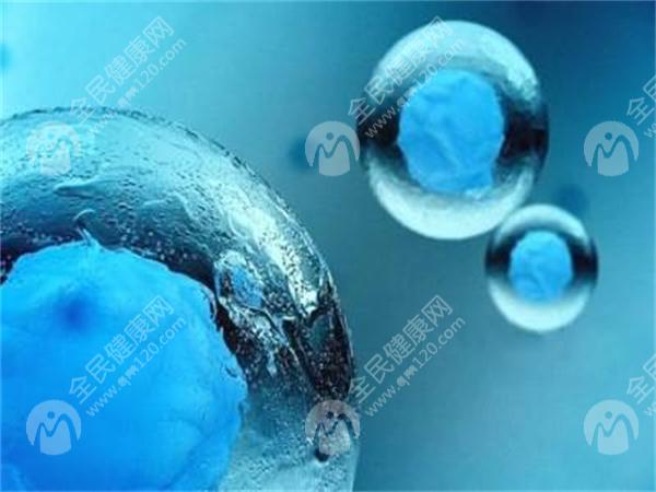 金华人民医院试管婴儿成功率高吗?