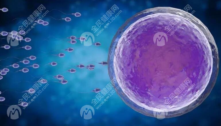 胚胎移植后10天出血代表什么？