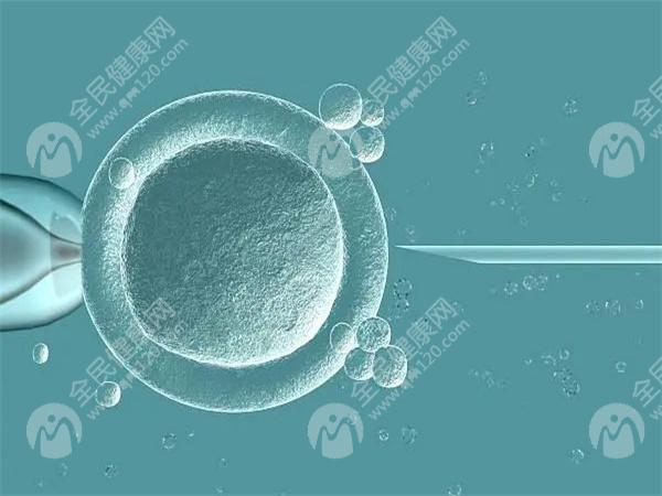 2023吉林试管婴儿****消息及三代试管费用一览