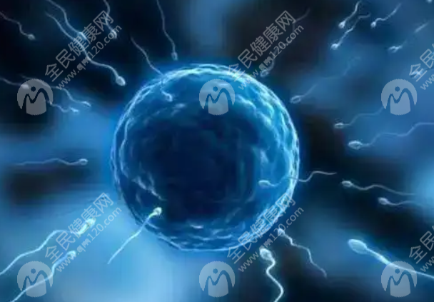 沈阳盛京医院试管成功率数据